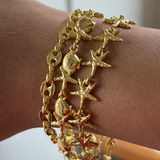 Shell Bracelet